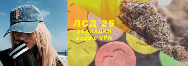 трава Осинники