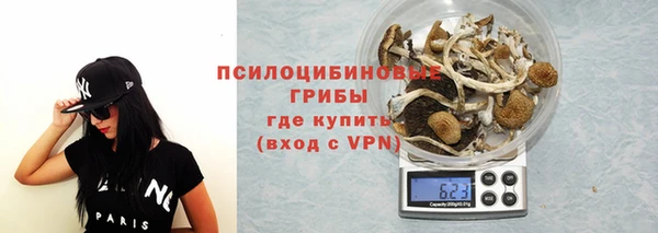 СК Алексин