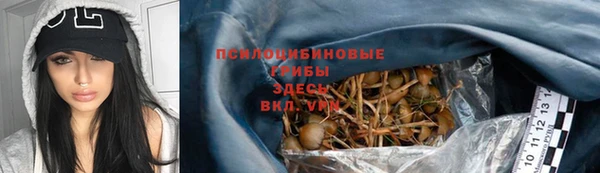трава Осинники