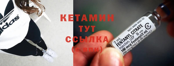 трава Осинники
