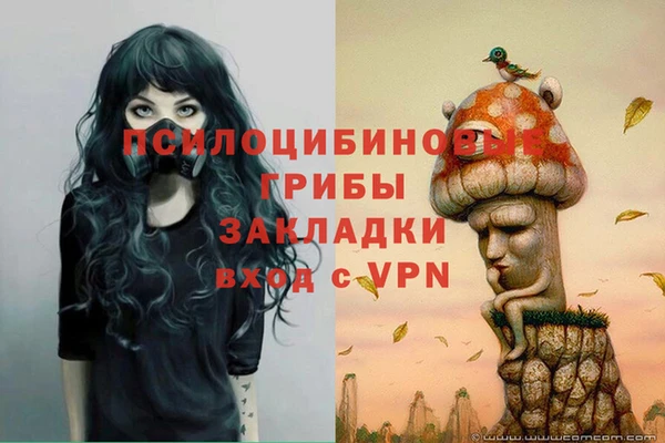трава Осинники