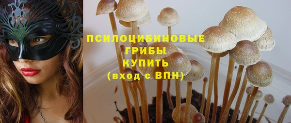 герыч Бикин